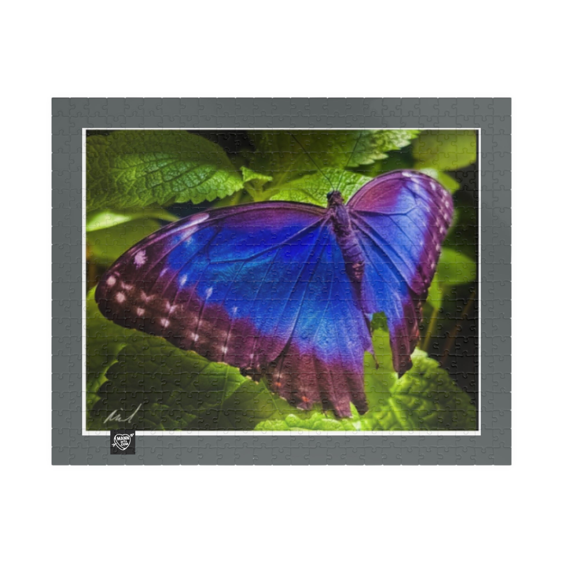 Costa Rica Blue Morpho (Morpho peleides) Famous - Puzzle Art - 110 to 1014