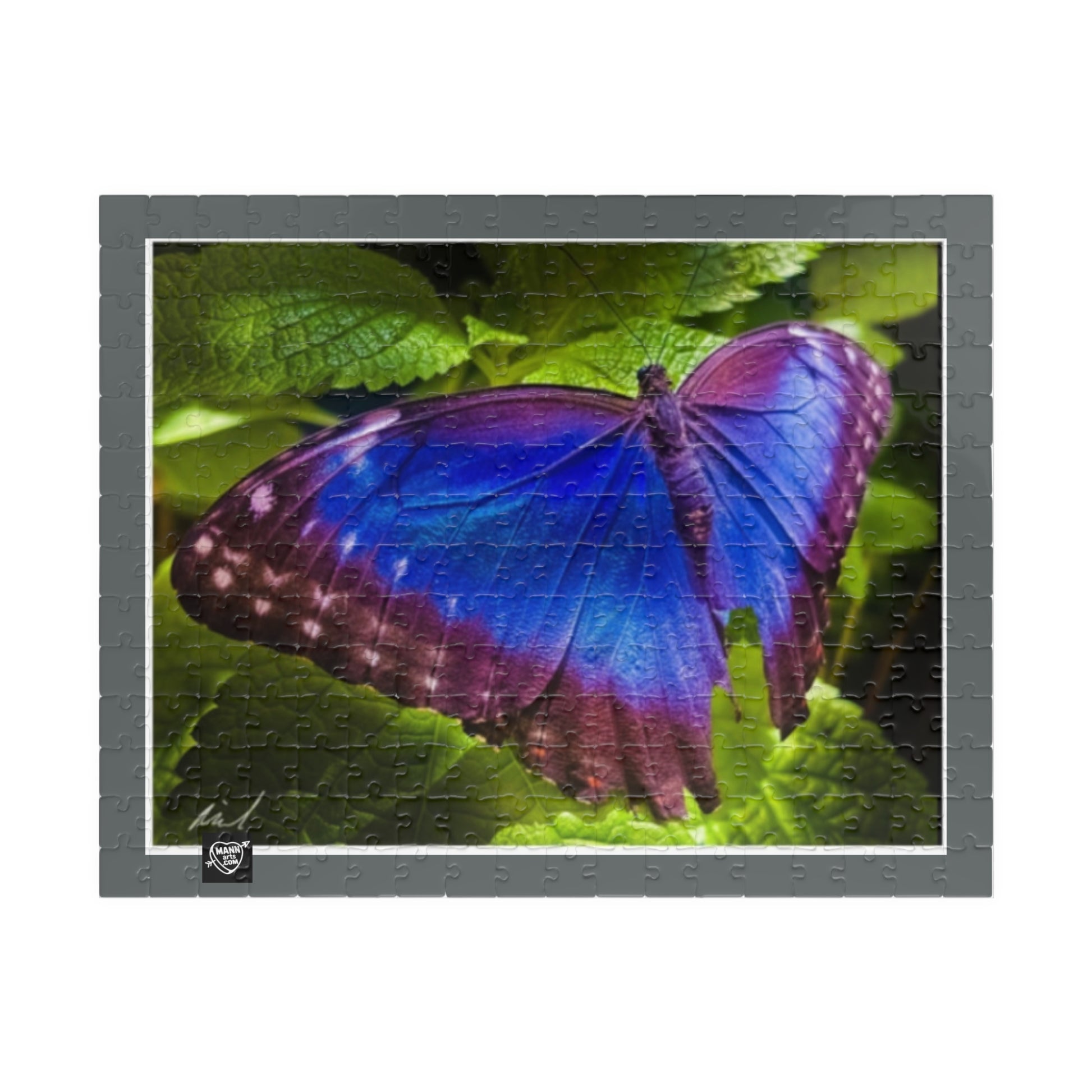 Costa Rica Blue Morpho (Morpho peleides) Famous - Puzzle Art - 110 to 1014