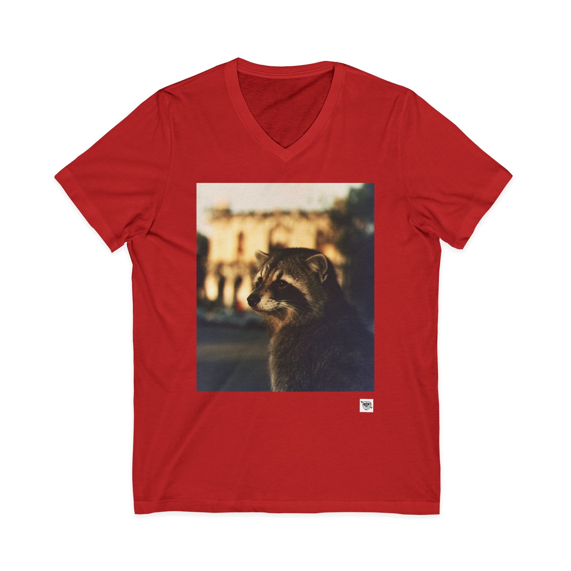 Dream of the Alamo Boo Raccoon - Sunset Photo