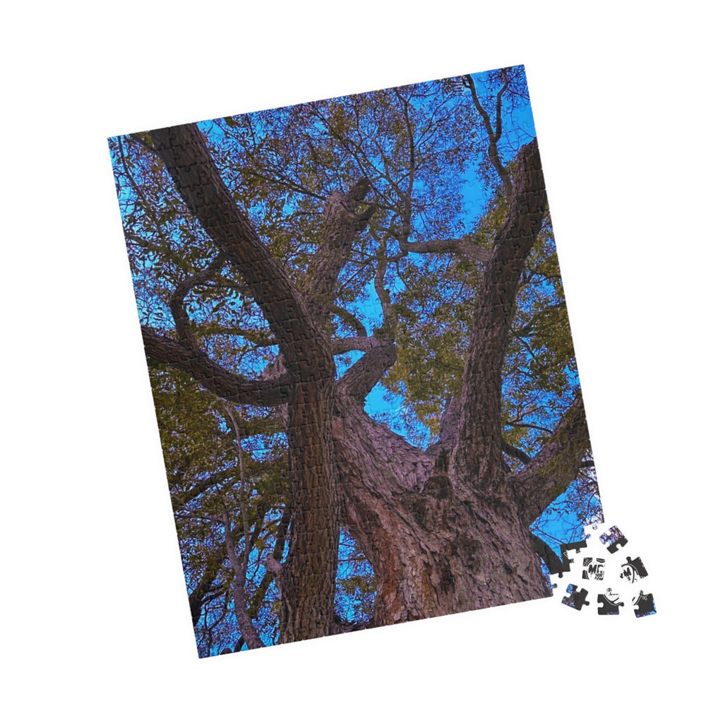 Pecan (Carya illinoinensis) Texas  - Puzzle, 110-1014 Pieces