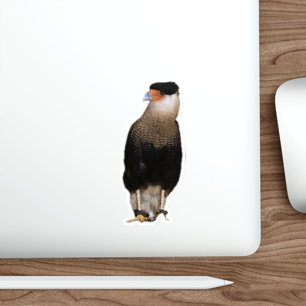 Caracara - Sticker