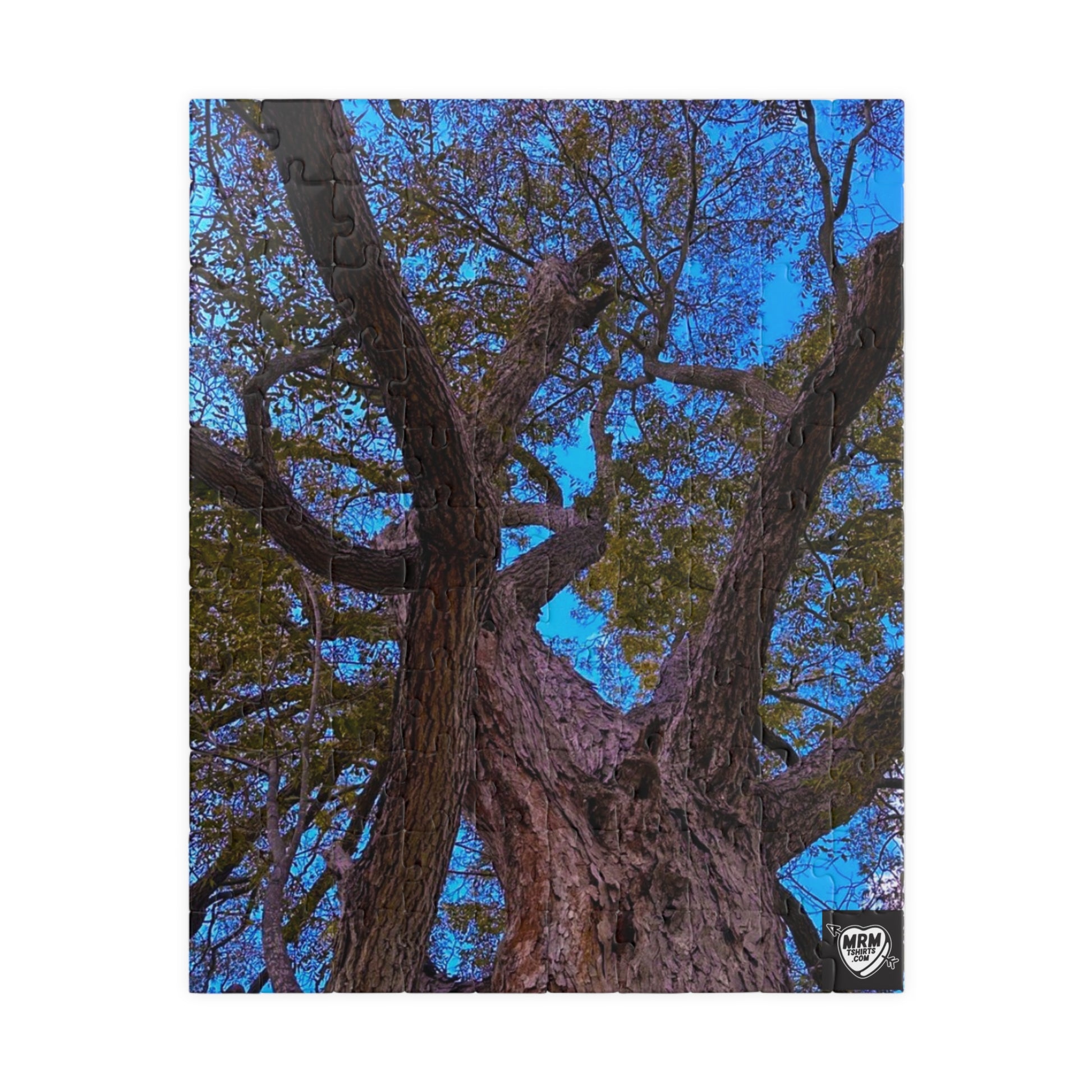 Pecan (Carya illinoinensis) Texas  - Puzzle, 110-1014 Pieces