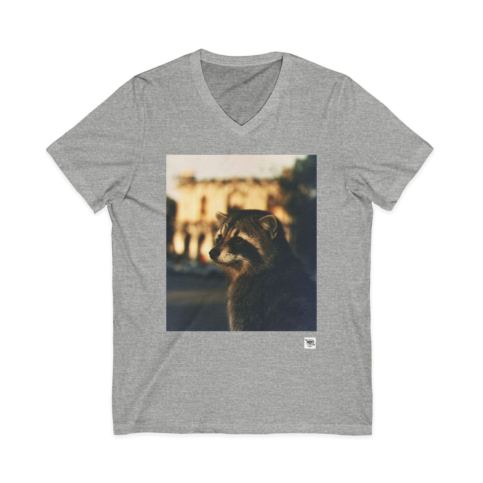 Dream of the Alamo Boo Raccoon - Sunset Photo