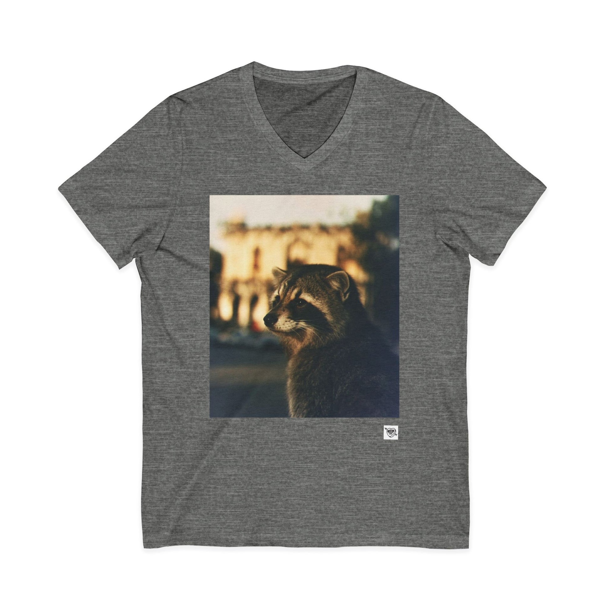 Dream of the Alamo Boo Raccoon - Sunset Photo