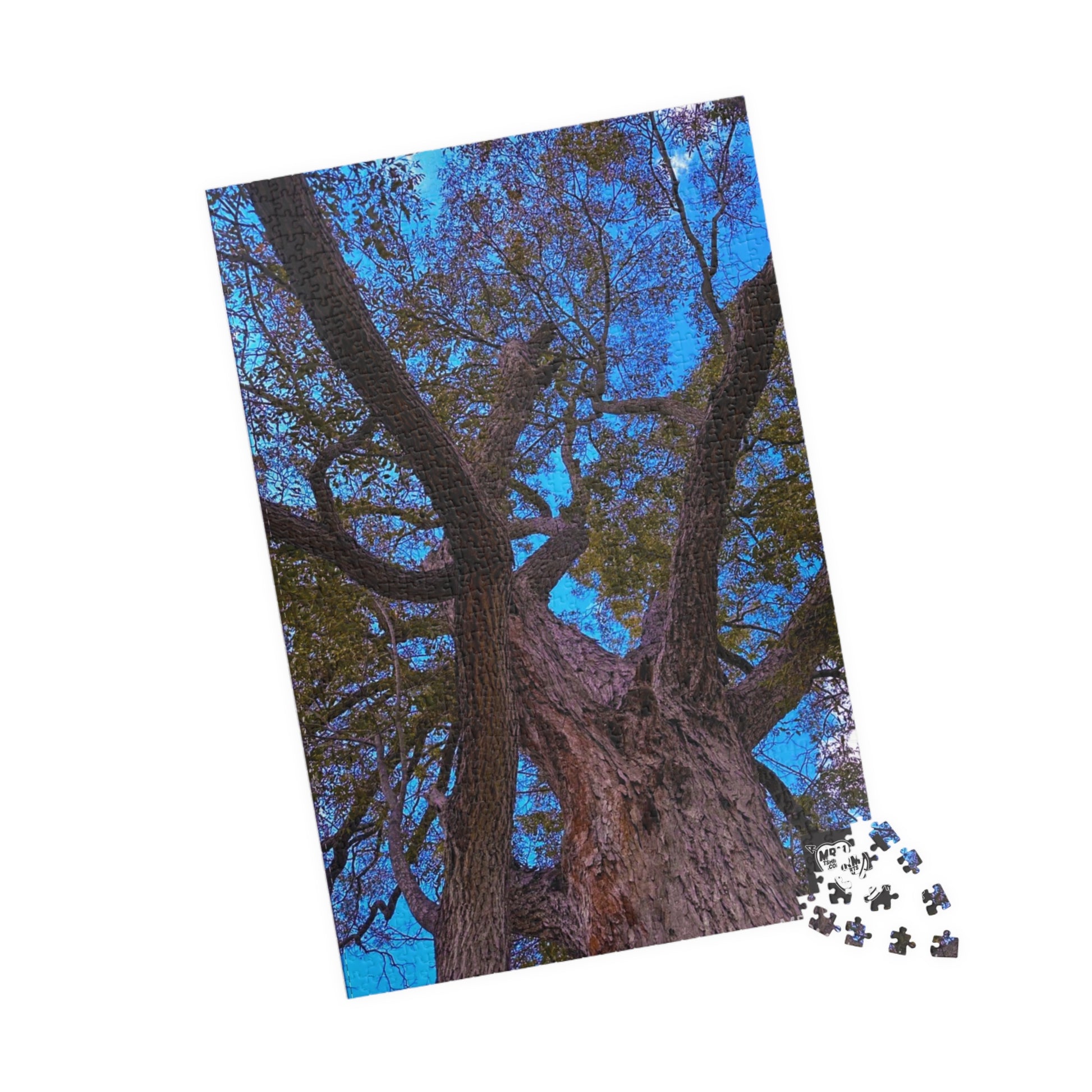 Pecan (Carya illinoinensis) Texas  - Puzzle, 110-1014 Pieces