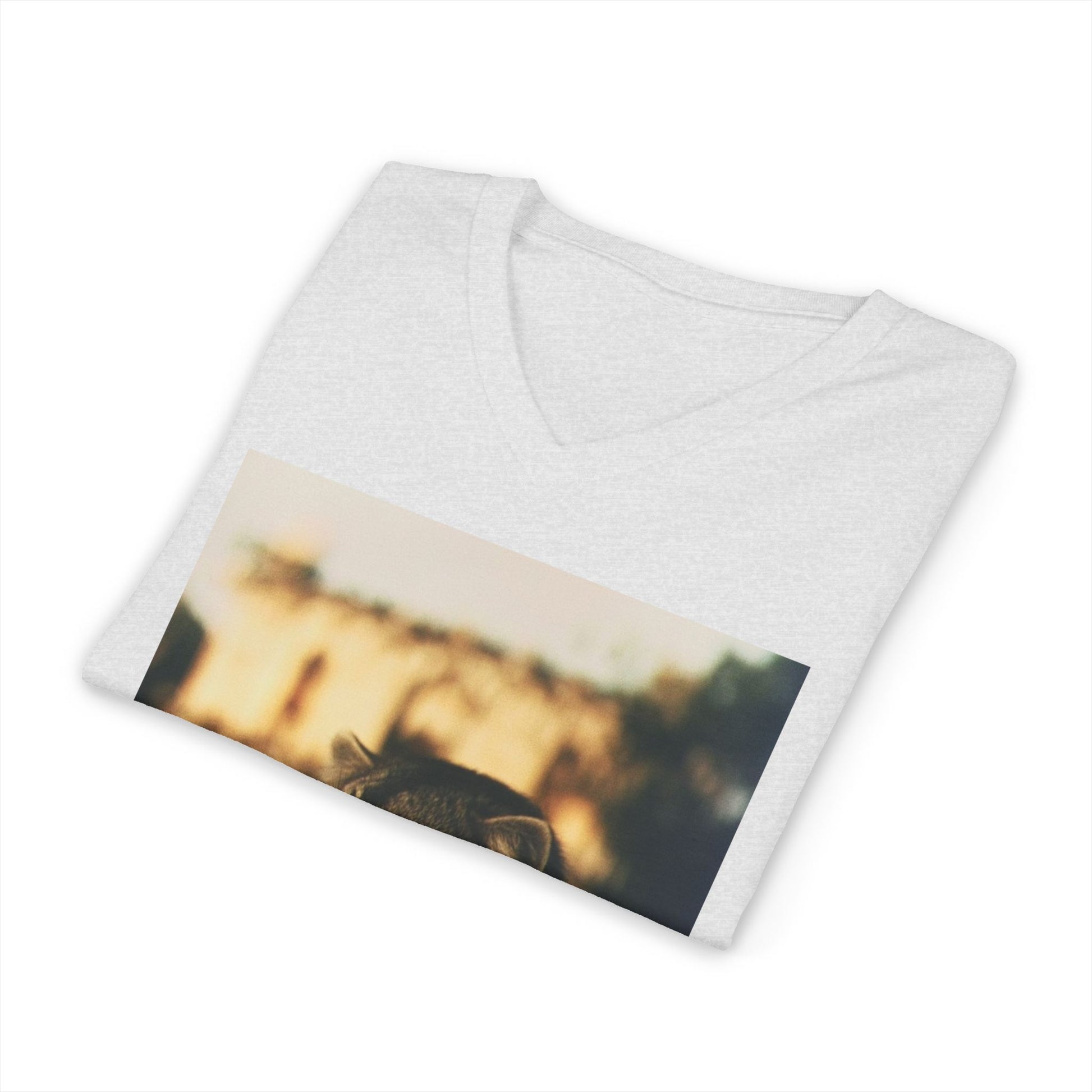 Dream of the Alamo Boo Raccoon - Sunset Photo