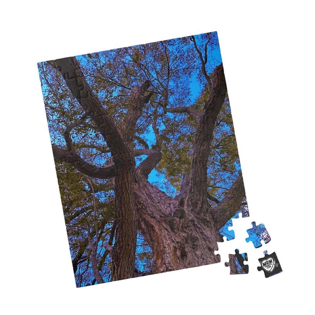 Pecan (Carya illinoinensis) Texas  - Puzzle, 110-1014 Pieces