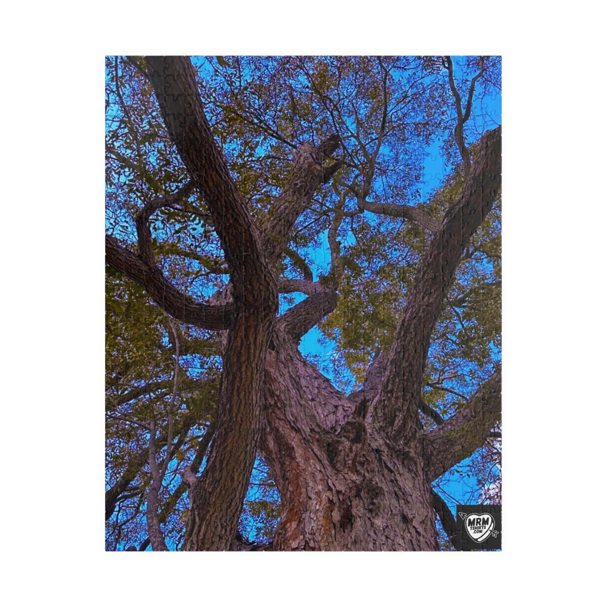 Pecan (Carya illinoinensis) Texas  - Puzzle, 110-1014 Pieces