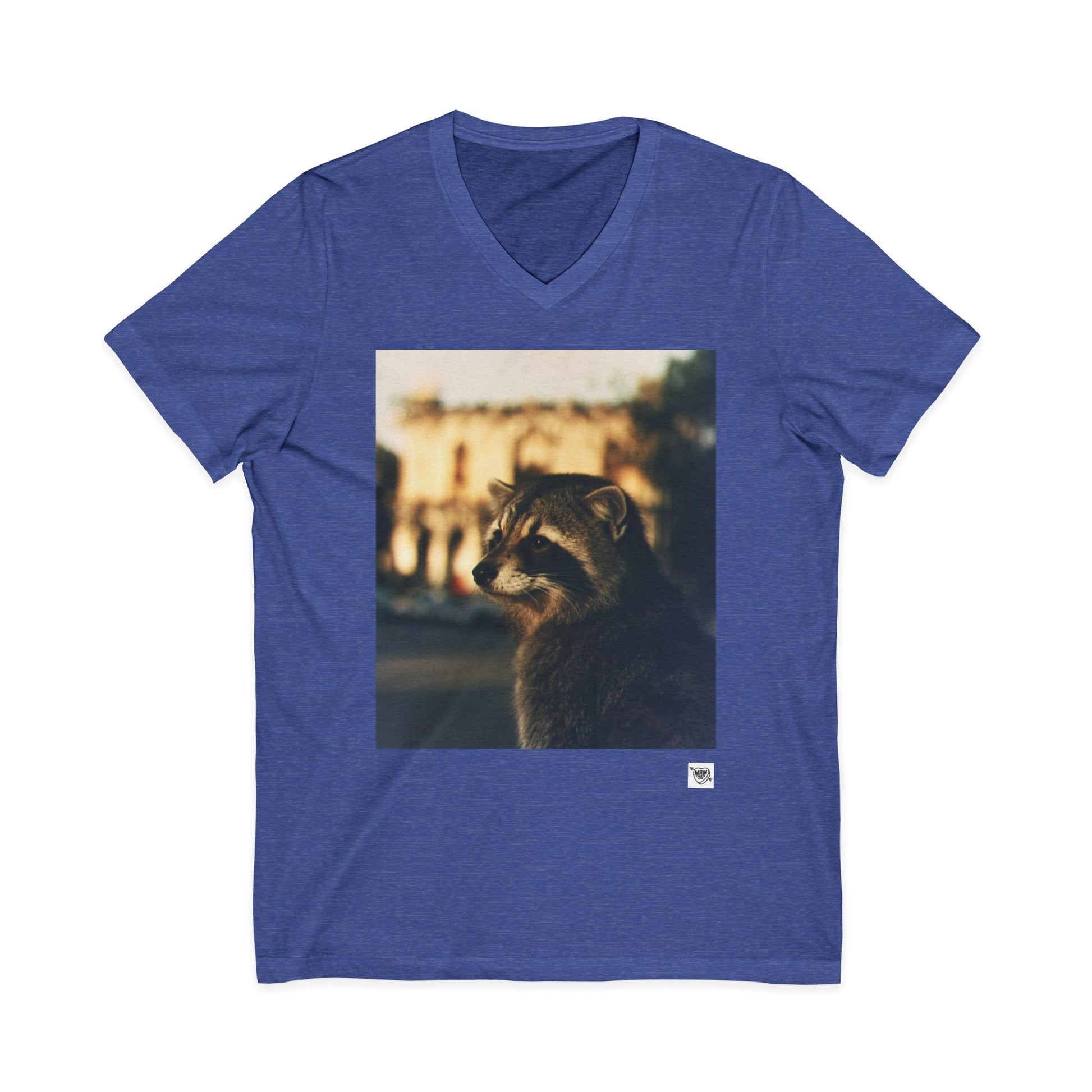 Dream of the Alamo Boo Raccoon - Sunset Photo