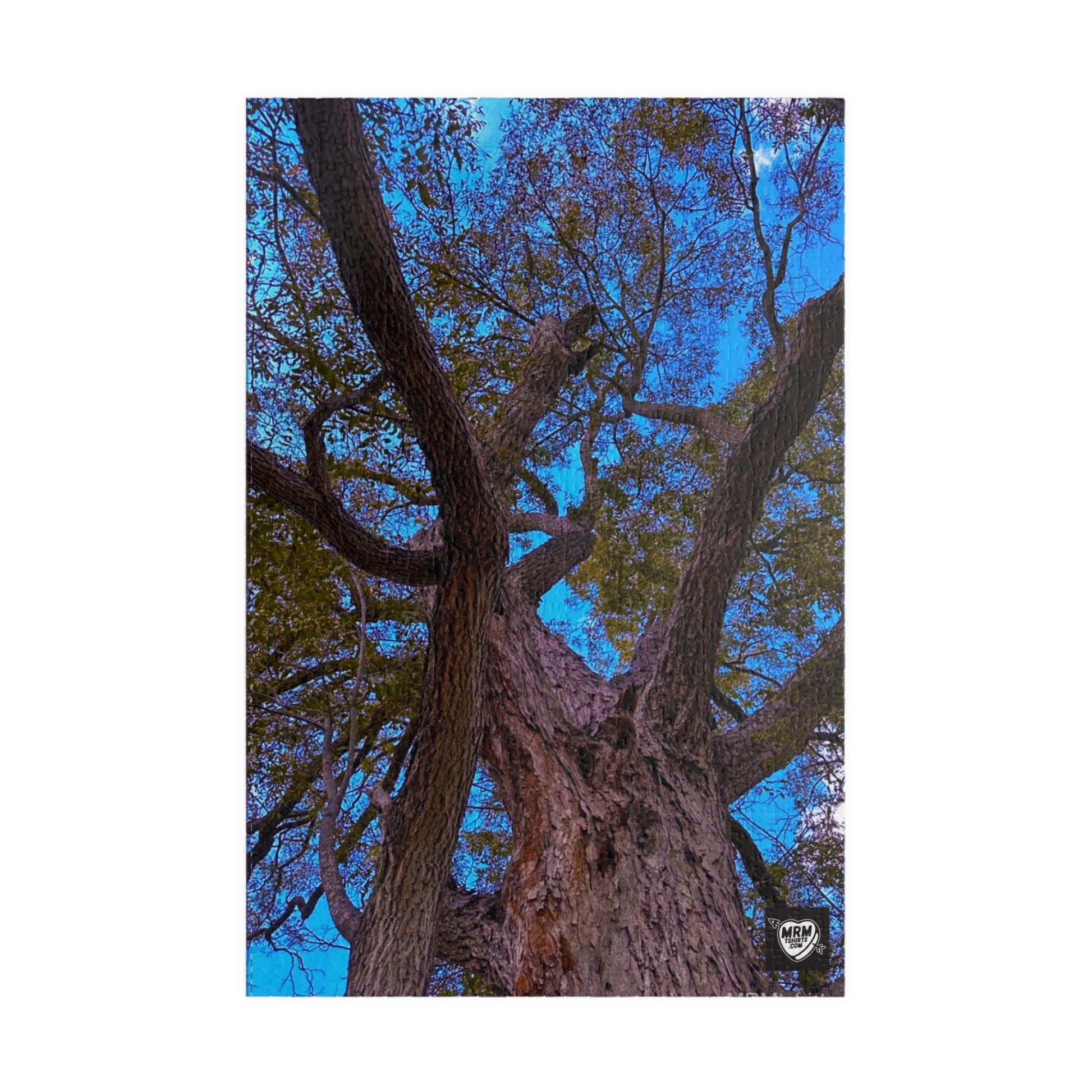 Pecan (Carya illinoinensis) Texas  - Puzzle, 110-1014 Pieces