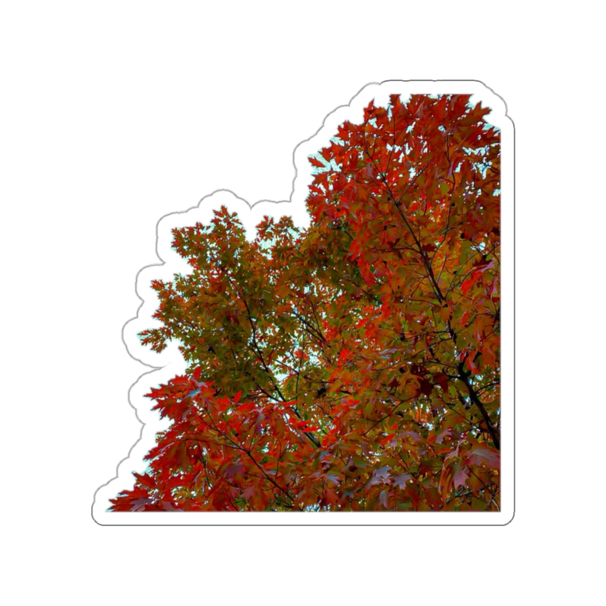 Trees - 2 - Stickers