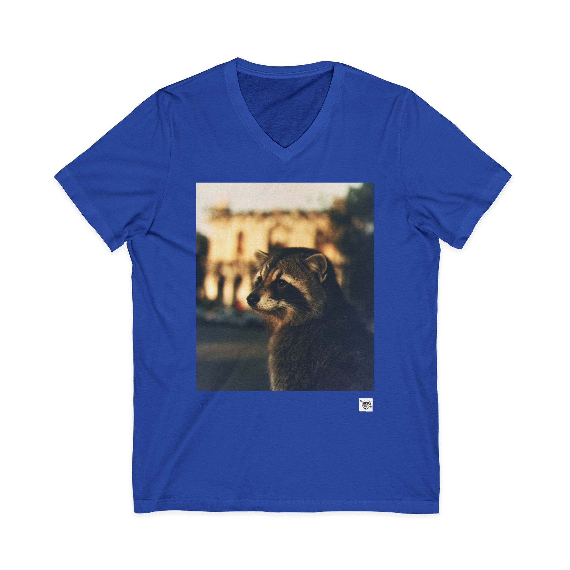 Dream of the Alamo Boo Raccoon - Sunset Photo