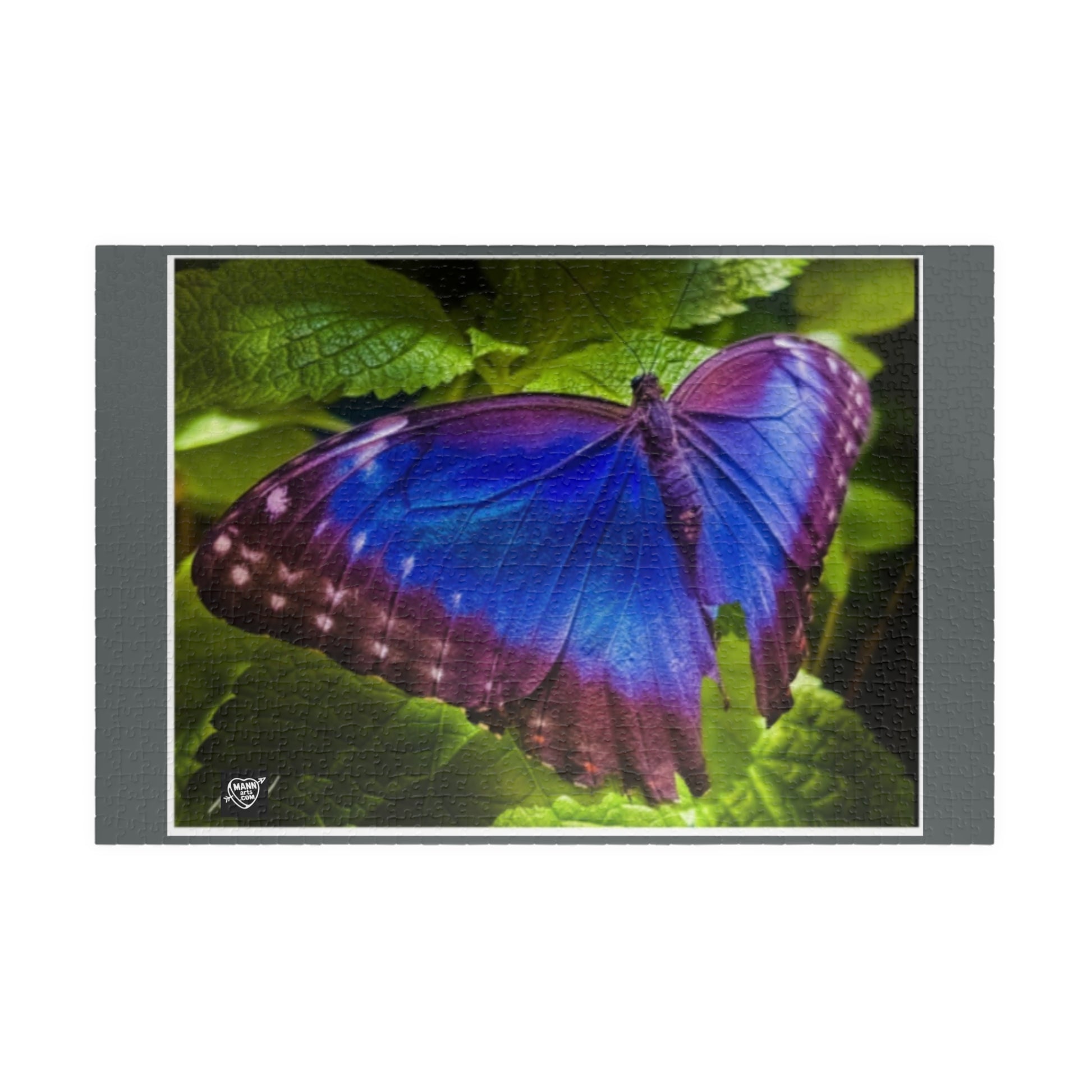 Costa Rica Blue Morpho (Morpho peleides) Famous - Puzzle Art - 110 to 1014