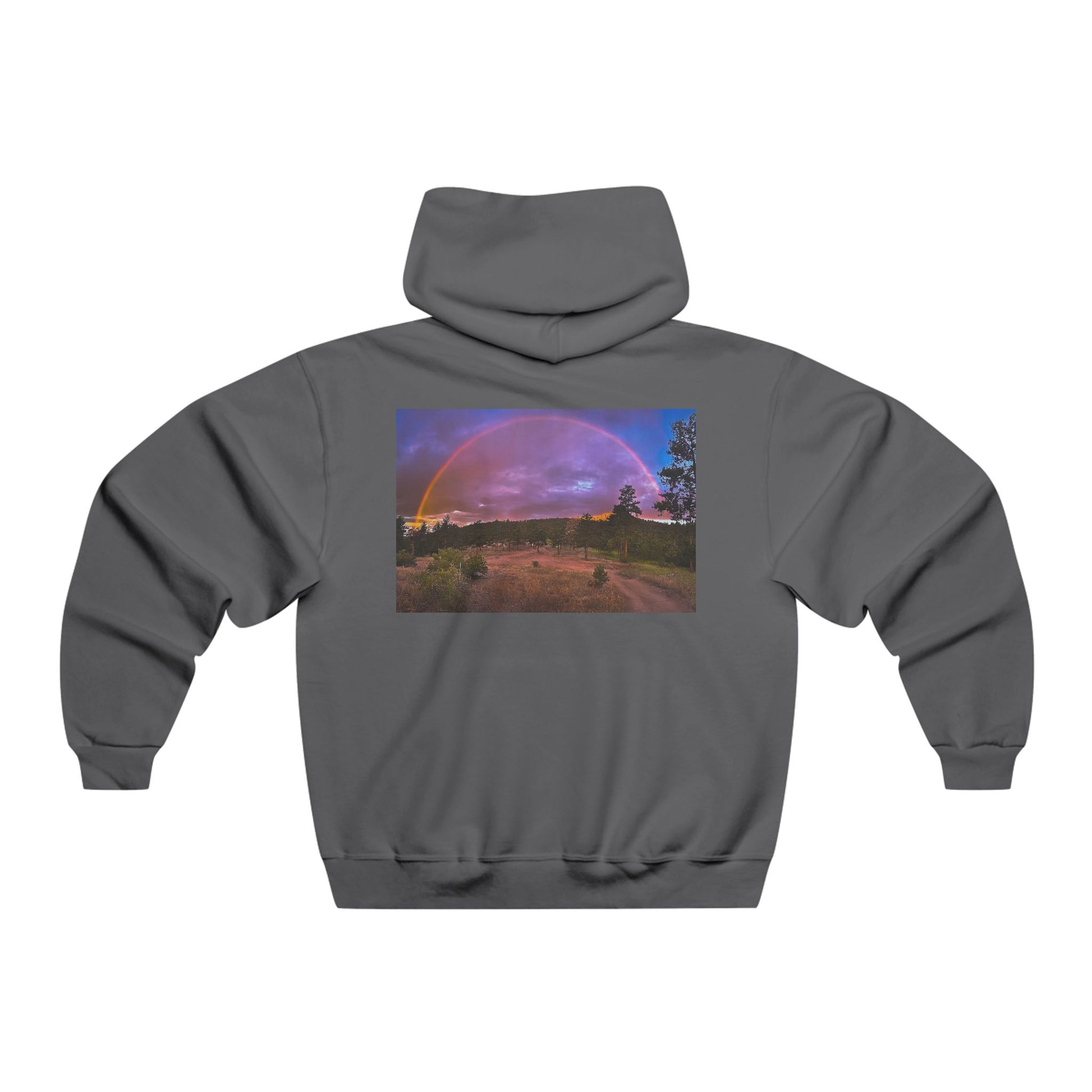 Rainbow in Colorado - Hoody